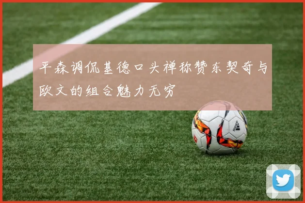 平森调侃基德口头禅称赞东契奇与欧文的组合魅力无穷