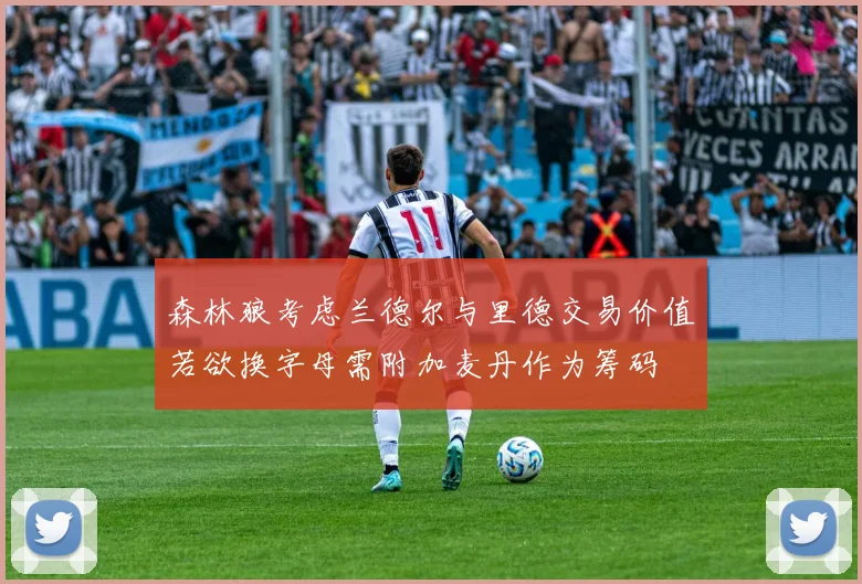 森林狼考虑兰德尔与里德交易价值若欲换字母需附加麦丹作为筹码