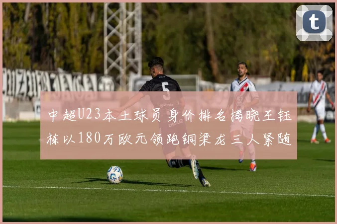 中超U23本土球员身价排名揭晓王钰栋以180万欧元领跑铜梁龙三人紧随其后