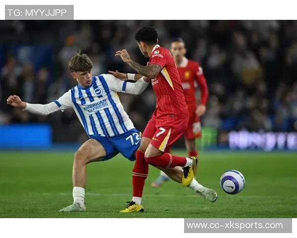 富安健洋或重返英超布莱顿与AC米兰争夺战升级 富安健洋或重返英超布莱顿与AC米兰争夺战升级